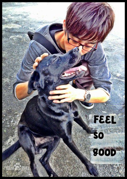 林奕勋两只狗狗素颜照相册