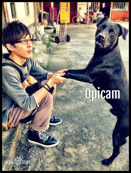 林奕勋两只狗狗素颜照相册