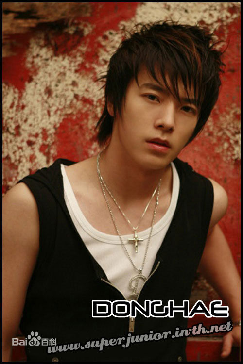 李东海(Lee Dong Hae)专辑造型壁纸壁纸