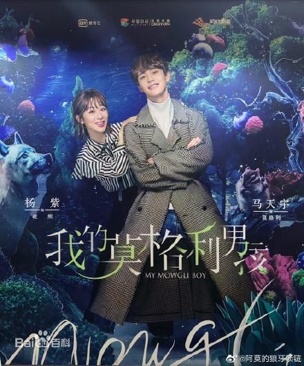 精选傅孟柏(Meng-Po Fu)