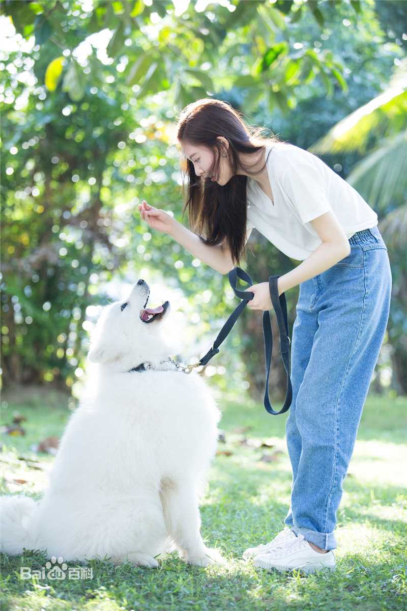 宋妍霏(cecilia boey)《神犬小七3》最新剧照