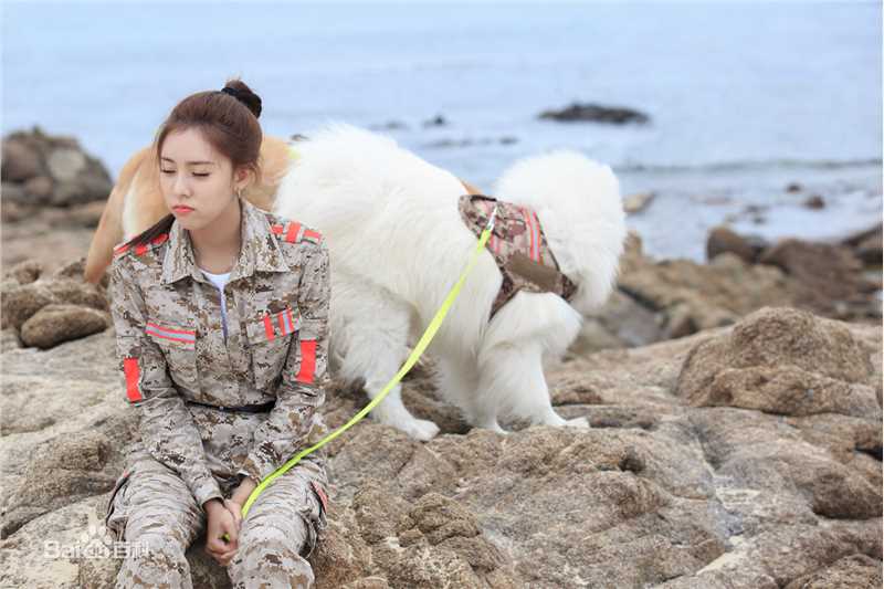 宋妍霏(cecilia boey)《神犬小七3》最新剧照