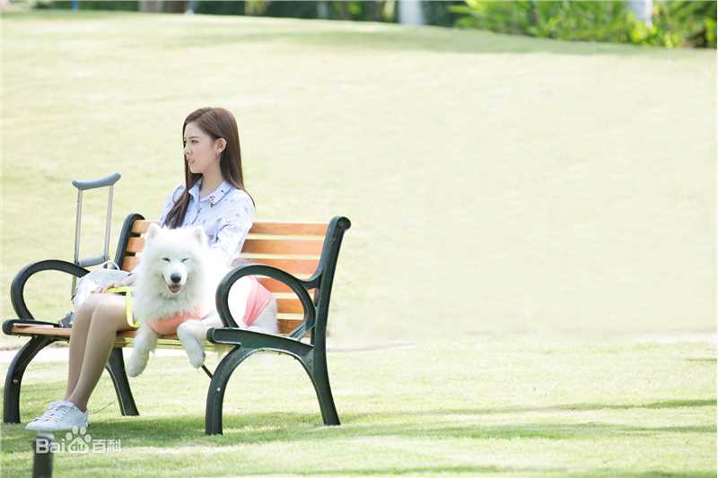 宋妍霏(cecilia boey)《神犬小七3》最新剧照