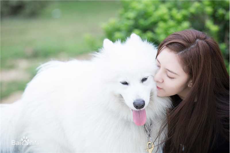 宋妍霏(cecilia boey)《神犬小七3》最新剧照