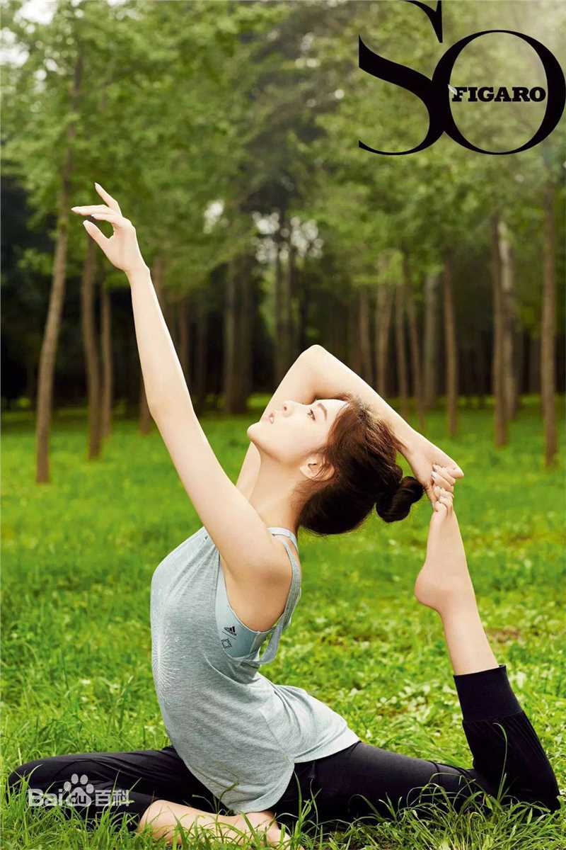 宋妍霏(cecilia boey)2017费加罗生活照相册