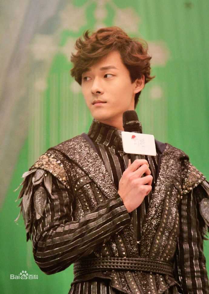 最新张雨剑在《幻城》中的壁纸