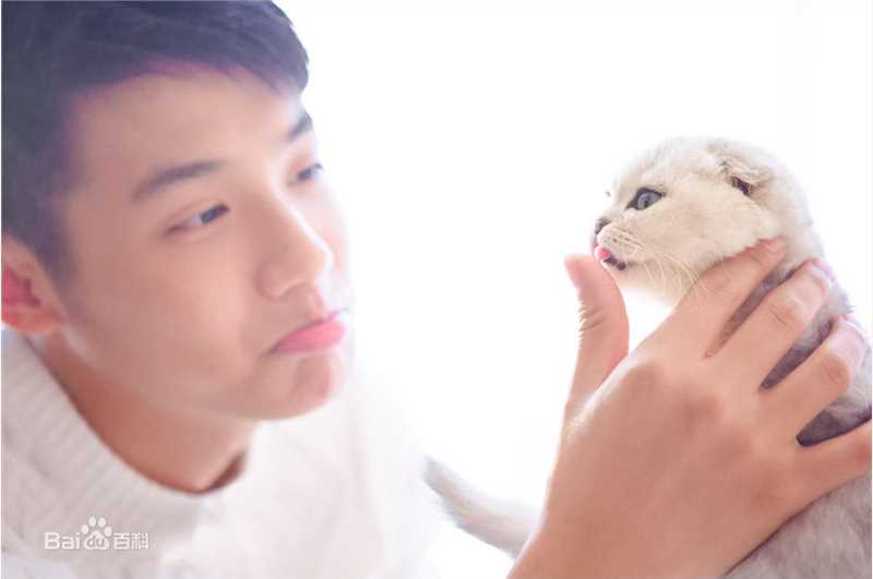 郑业成高清时尚1图集