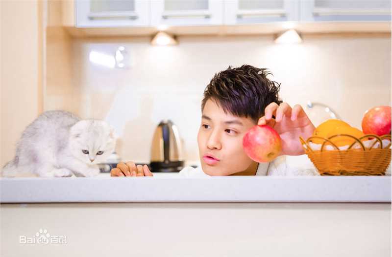 郑业成高清时尚1图集