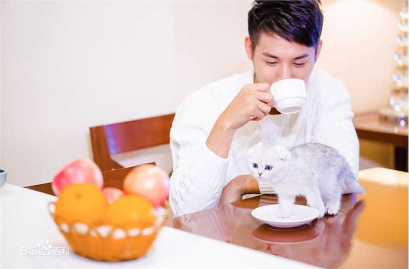 郑业成高清时尚1图集