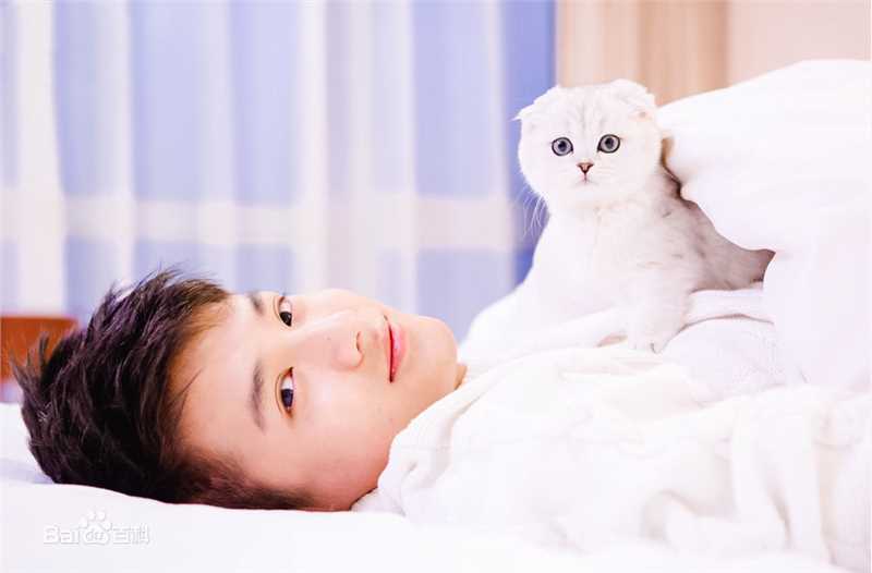 郑业成高清时尚1图集