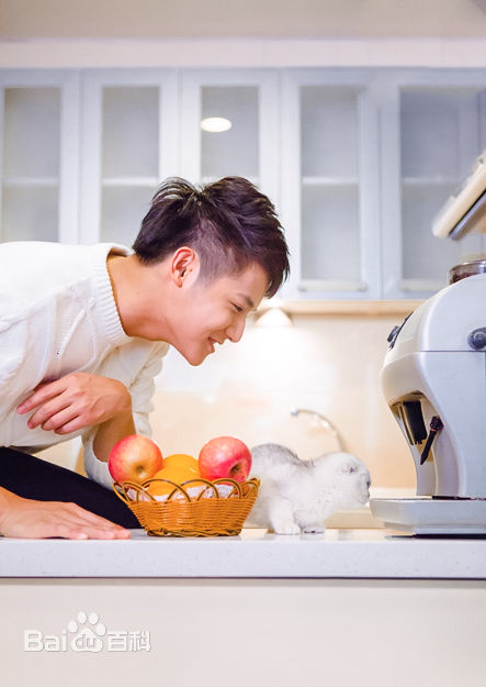 郑业成高清时尚1图集