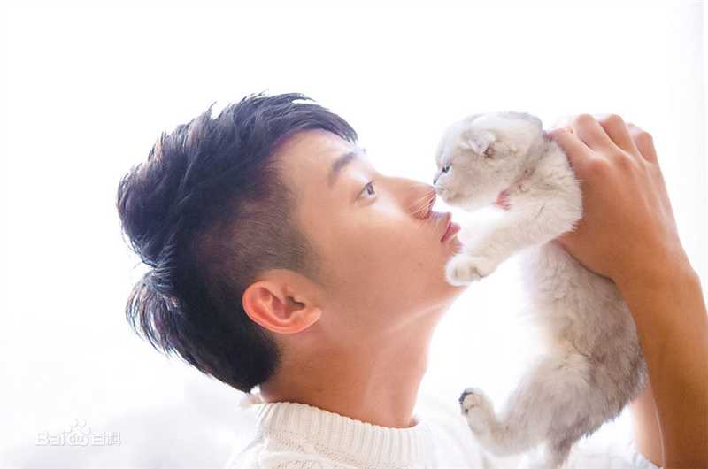 郑业成高清时尚1图集