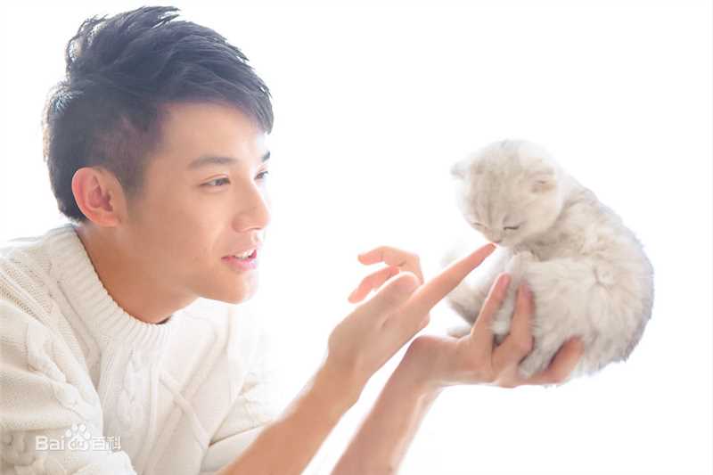 郑业成高清时尚1图集