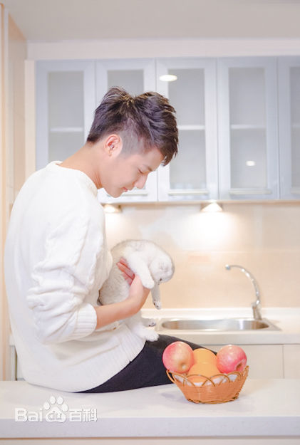 郑业成高清时尚1图集