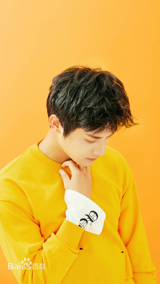 郑业成概述图册前后照片