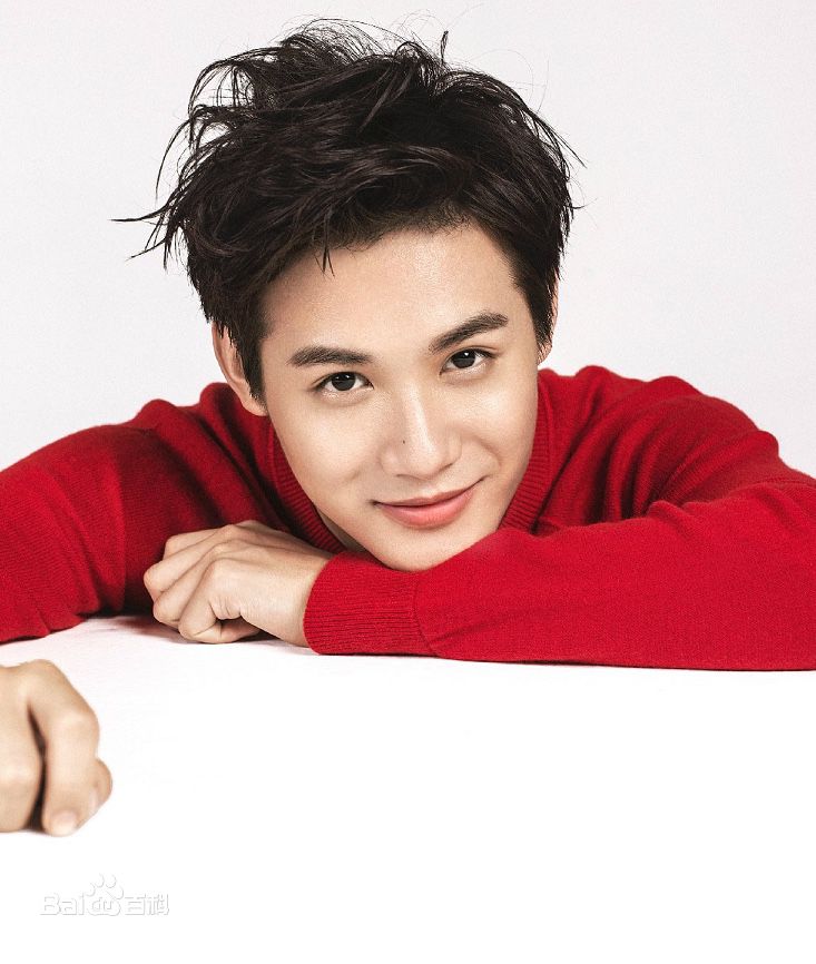 郑业成概述图册前后照片