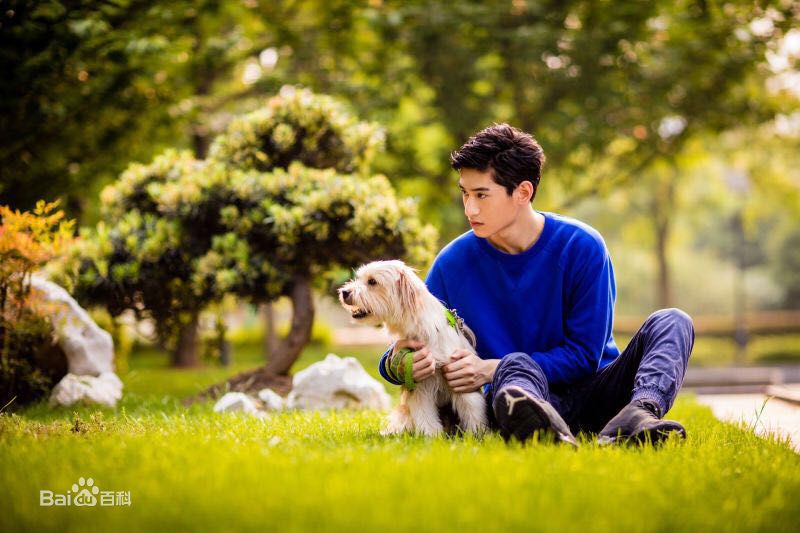 金泰焕(Kim Tae Hwan)公益精选海报图册