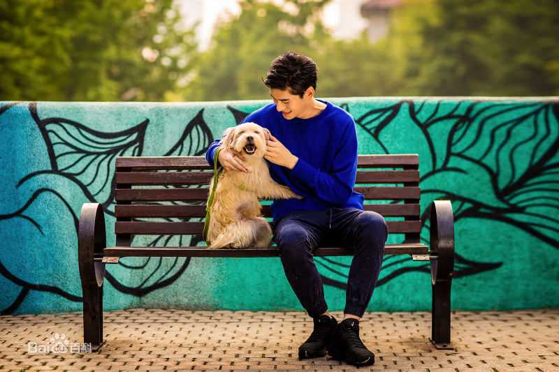 金泰焕(Kim Tae Hwan)公益精选海报图册