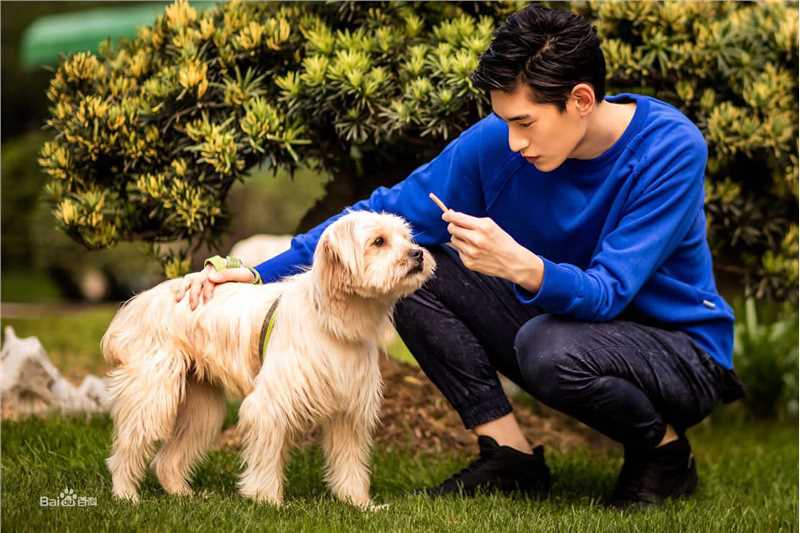 金泰焕(Kim Tae Hwan)公益精选海报图册