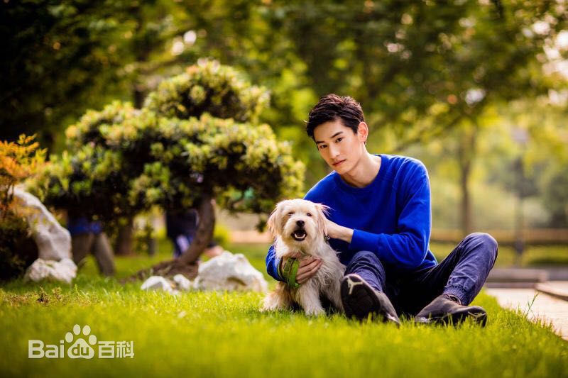 金泰焕(Kim Tae Hwan)公益精选海报图册