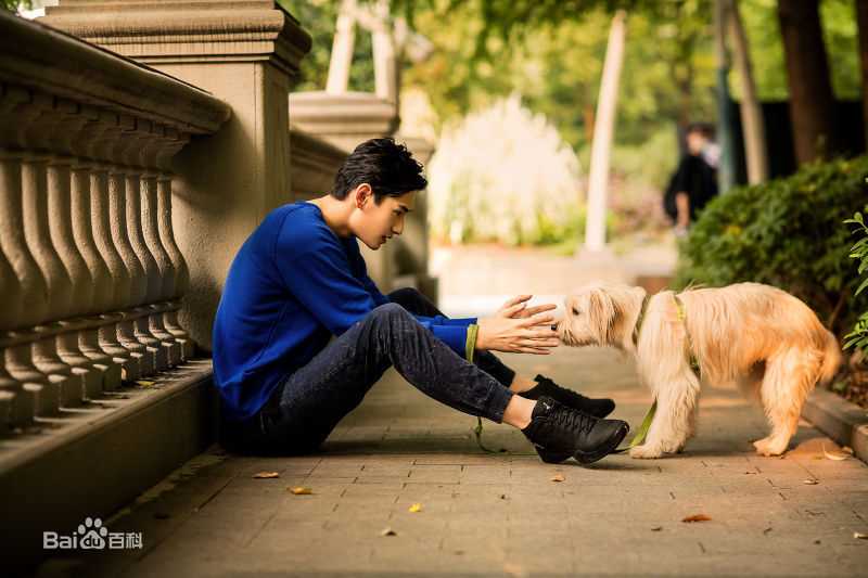 金泰焕(Kim Tae Hwan)公益精选海报图册