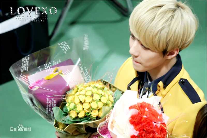 吴世勋(（韩文名）、SE HUN（官方艺名）、Oh SeHun)高中毕业生活照相册