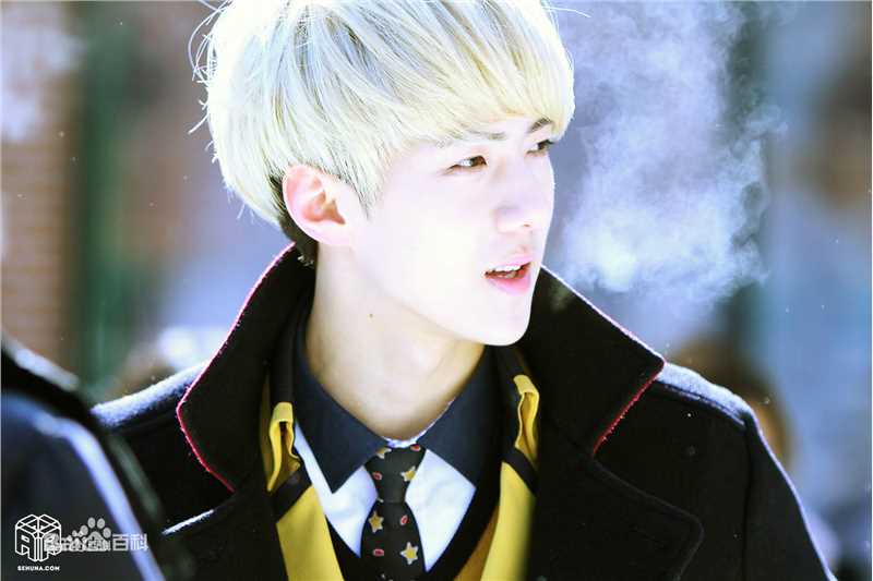 吴世勋(（韩文名）、SE HUN（官方艺名）、Oh SeHun)高中毕业生活照相册