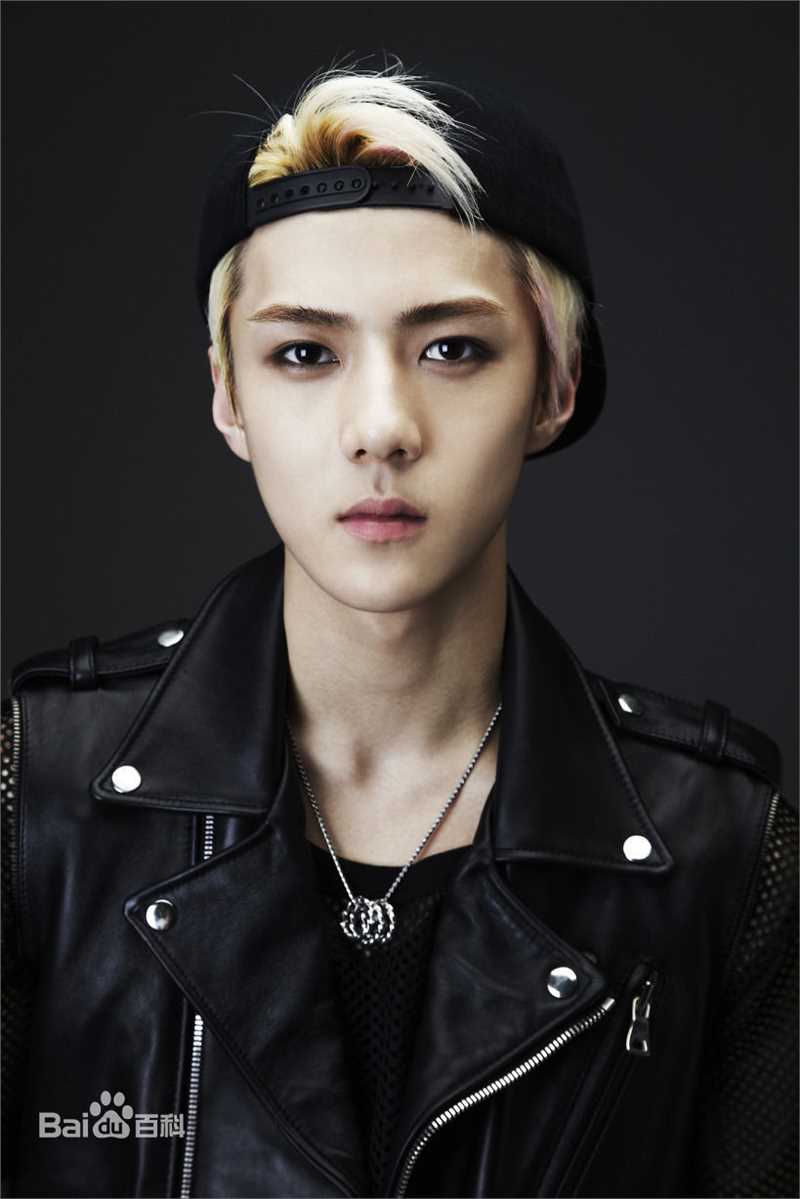 吴世勋(（韩文名）、SE HUN（官方艺名）、Oh SeHun)硬照王子图片图册