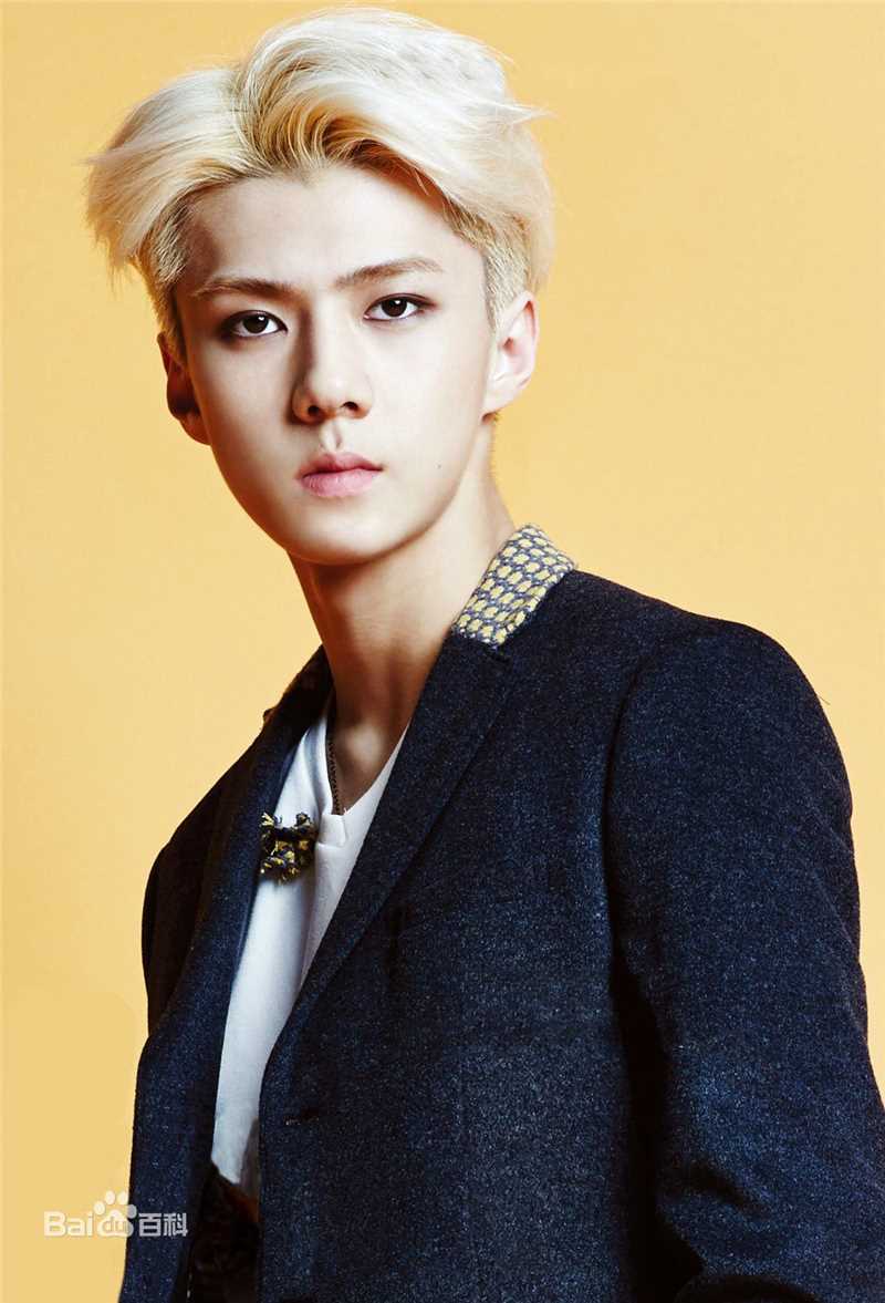 吴世勋(（韩文名）、SE HUN（官方艺名）、Oh SeHun)硬照王子图片图册