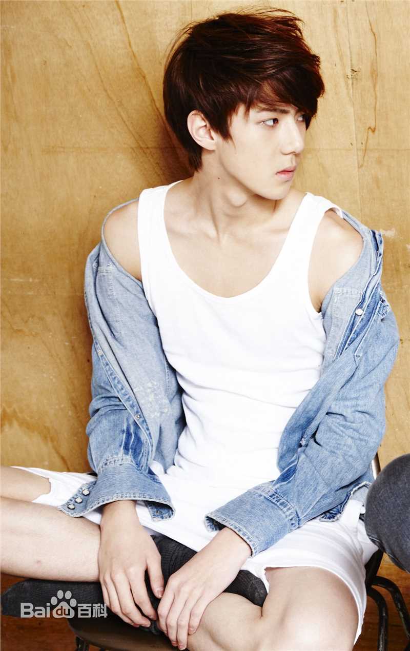 吴世勋(（韩文名）、SE HUN（官方艺名）、Oh SeHun)硬照王子图片图册