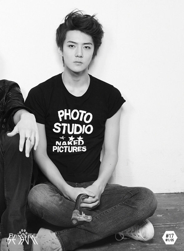 吴世勋(（韩文名）、SE HUN（官方艺名）、Oh SeHun)硬照王子图片图册