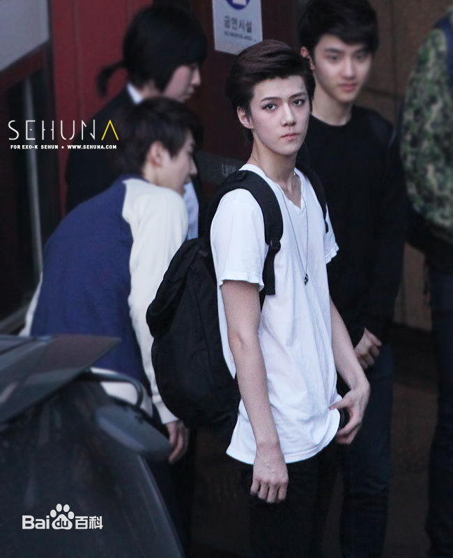 吴世勋(（韩文名）、SE HUN（官方艺名）、Oh SeHun)硬照王子图片图册