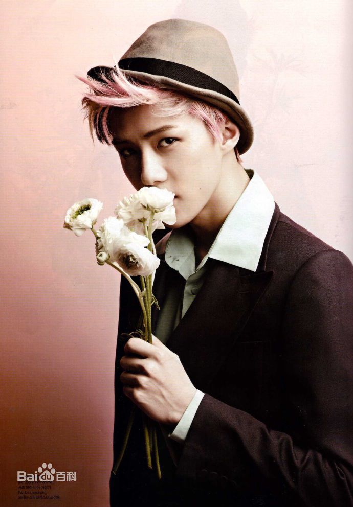 吴世勋(（韩文名）、SE HUN（官方艺名）、Oh SeHun)硬照王子图片图册