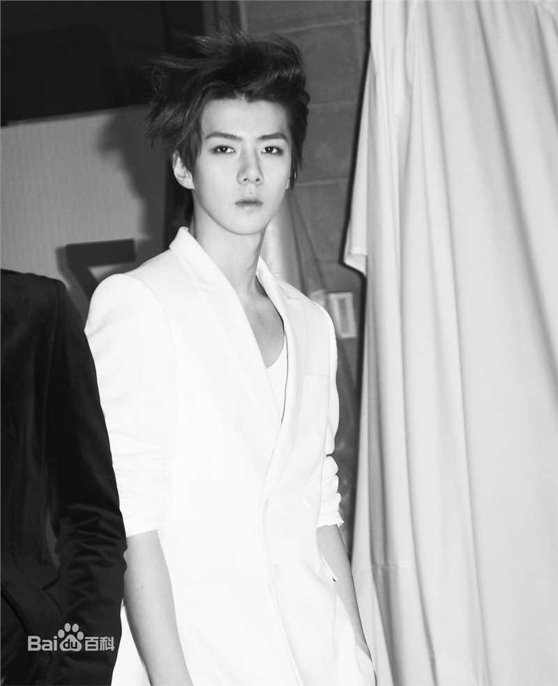 吴世勋(（韩文名）、SE HUN（官方艺名）、Oh SeHun)硬照王子图片图册