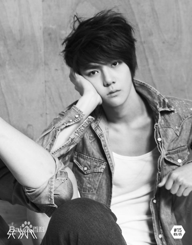 吴世勋(（韩文名）、SE HUN（官方艺名）、Oh SeHun)硬照王子图片图册