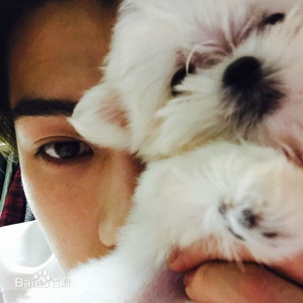 吴世勋(（韩文名）、SE HUN（官方艺名）、Oh SeHun)世勋的Instagram前后照片