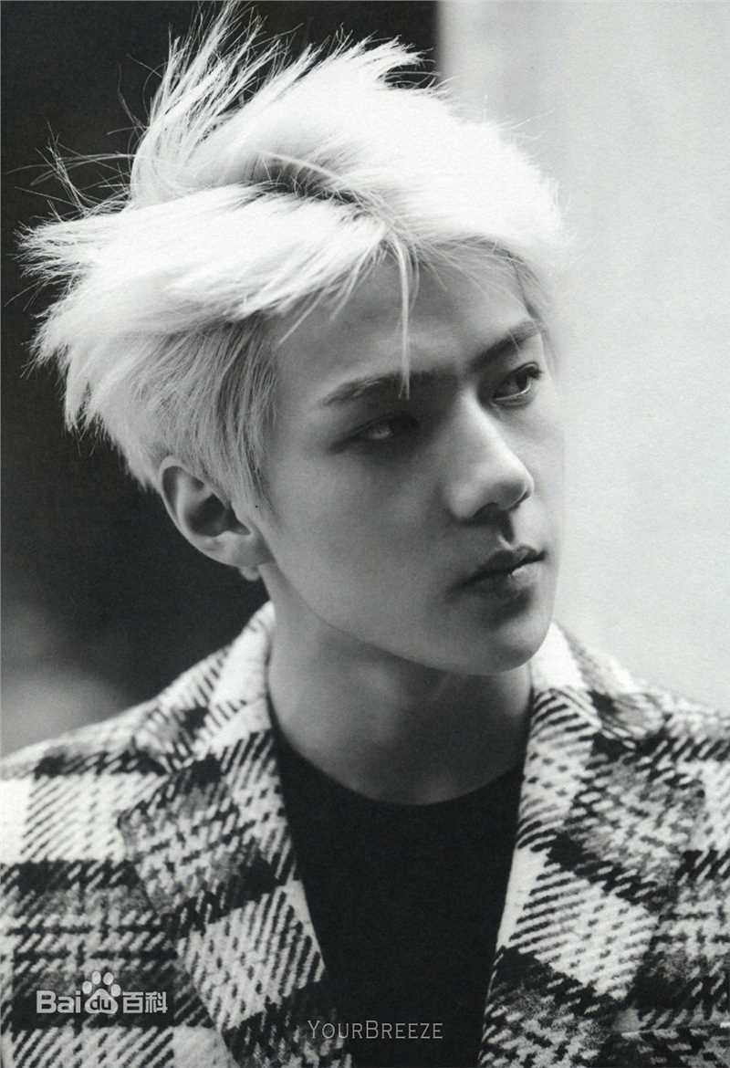 吴世勋(（韩文名）、SE HUN（官方艺名）、Oh SeHun)雕刻美男前后照片
