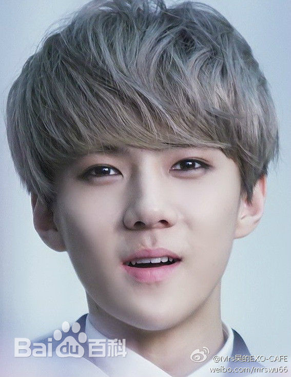 吴世勋(（韩文名）、SE HUN（官方艺名）、Oh SeHun)雕刻美男前后照片