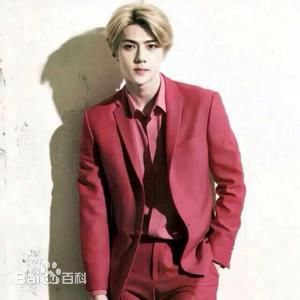 吴世勋(（韩文名）、SE HUN（官方艺名）、Oh SeHun)画报男神性感图片图集
