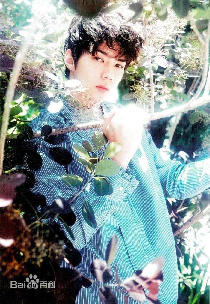 吴世勋(（韩文名）、SE HUN（官方艺名）、Oh SeHun)画报男神性感图片图集