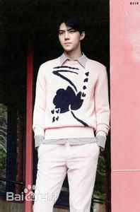 吴世勋(（韩文名）、SE HUN（官方艺名）、Oh SeHun)画报男神性感图片图集