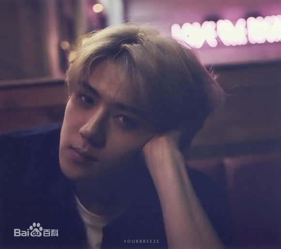 吴世勋(（韩文名）、SE HUN（官方艺名）、Oh SeHun)美颜盛世素颜照相册