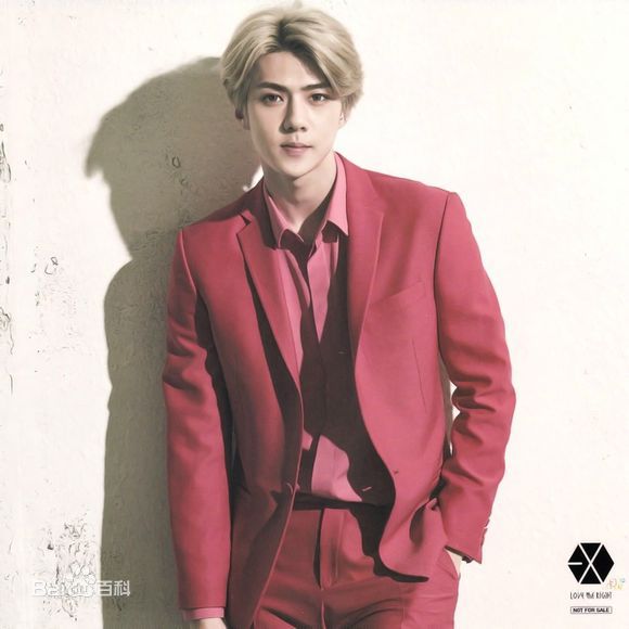 吴世勋(（韩文名）、SE HUN（官方艺名）、Oh SeHun)美颜盛世素颜照相册