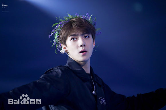 吴世勋(（韩文名）、SE HUN（官方艺名）、Oh SeHun)美颜盛世素颜照相册