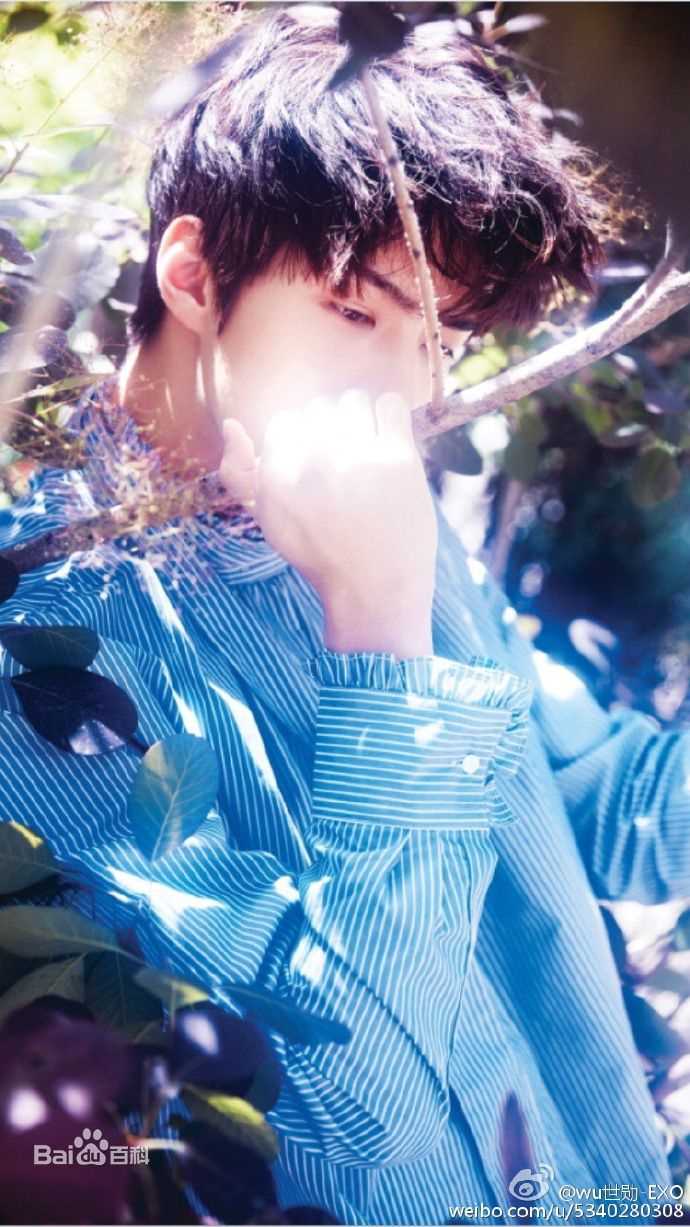 吴世勋(（韩文名）、SE HUN（官方艺名）、Oh SeHun)世代荣勋壁纸壁纸