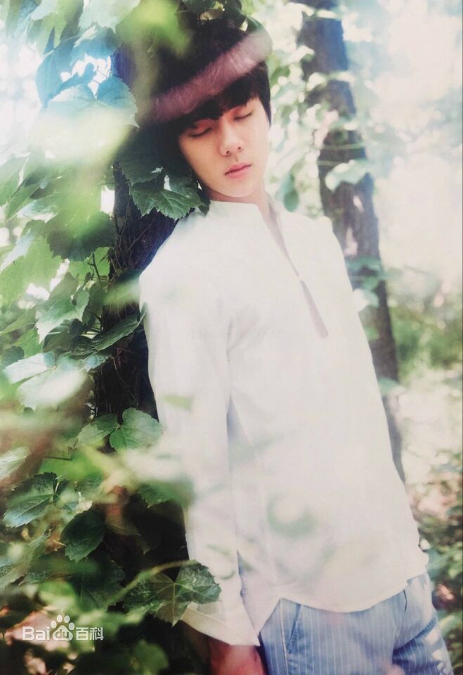 吴世勋(（韩文名）、SE HUN（官方艺名）、Oh SeHun)世代荣勋壁纸壁纸