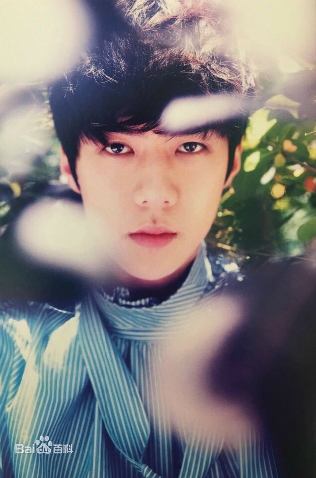 吴世勋(（韩文名）、SE HUN（官方艺名）、Oh SeHun)世代荣勋壁纸壁纸