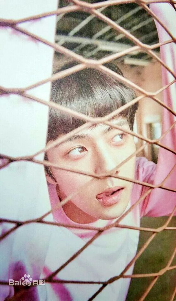 吴世勋(（韩文名）、SE HUN（官方艺名）、Oh SeHun)世代荣勋壁纸壁纸