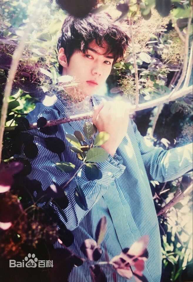 吴世勋(（韩文名）、SE HUN（官方艺名）、Oh SeHun)世代荣勋壁纸壁纸