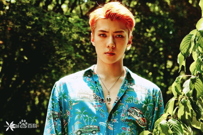 吴世勋(（韩文名）、SE HUN（官方艺名）、Oh SeHun)正规四辑官方照片壁纸壁纸